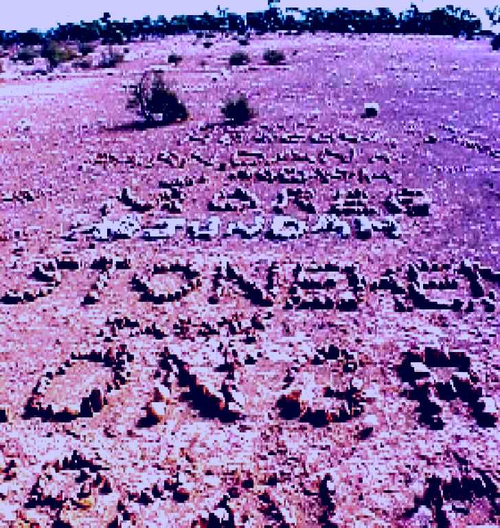 SubjectCoach | John Egan Pioneer Track