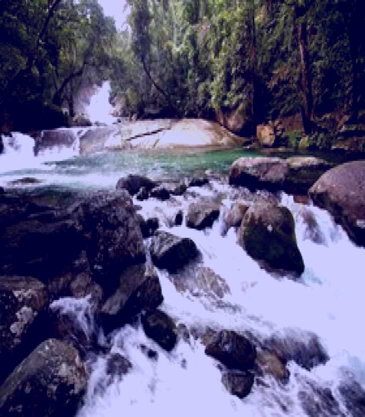 SubjectCoach | Josephine Falls, Wooroonooran National Park