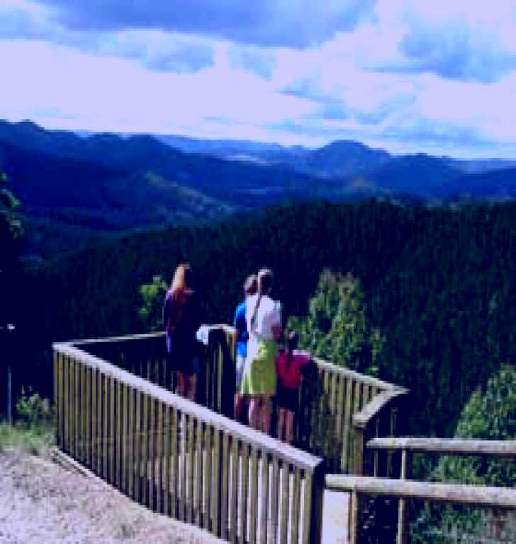 SubjectCoach | Kenilworth Forest Reserve