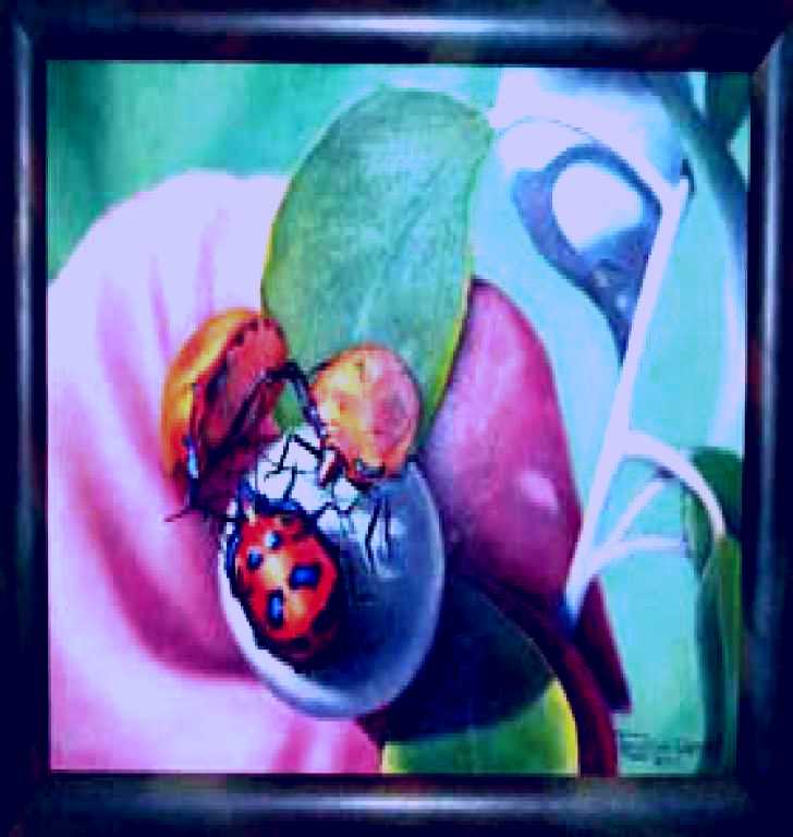 SubjectCoach | Kingaroy Shire Art Gallery