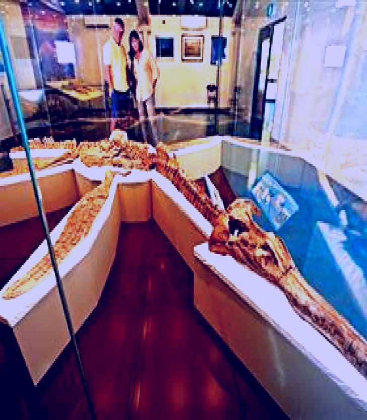 SubjectCoach | Kronosaurus Korner