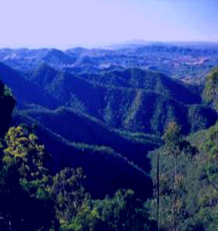 SubjectCoach | Kroombit Tops National Park