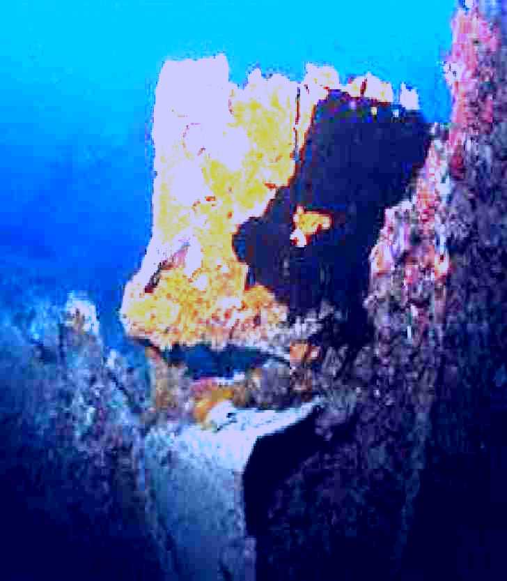 SubjectCoach | Lady Bowen Dive Site