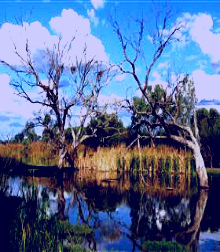 SubjectCoach | Lagoon Creek