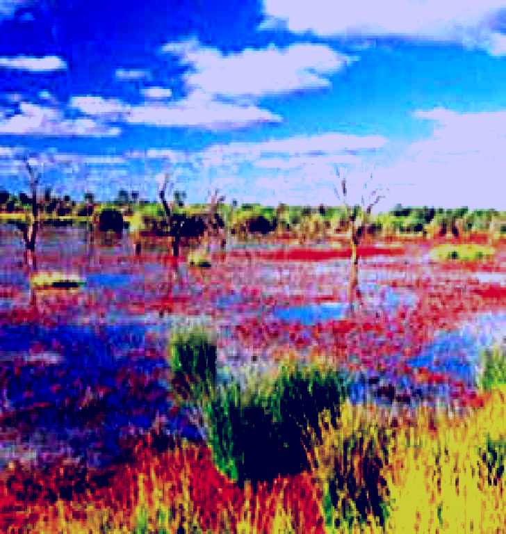 SubjectCoach | Lake Bindegolly National Park