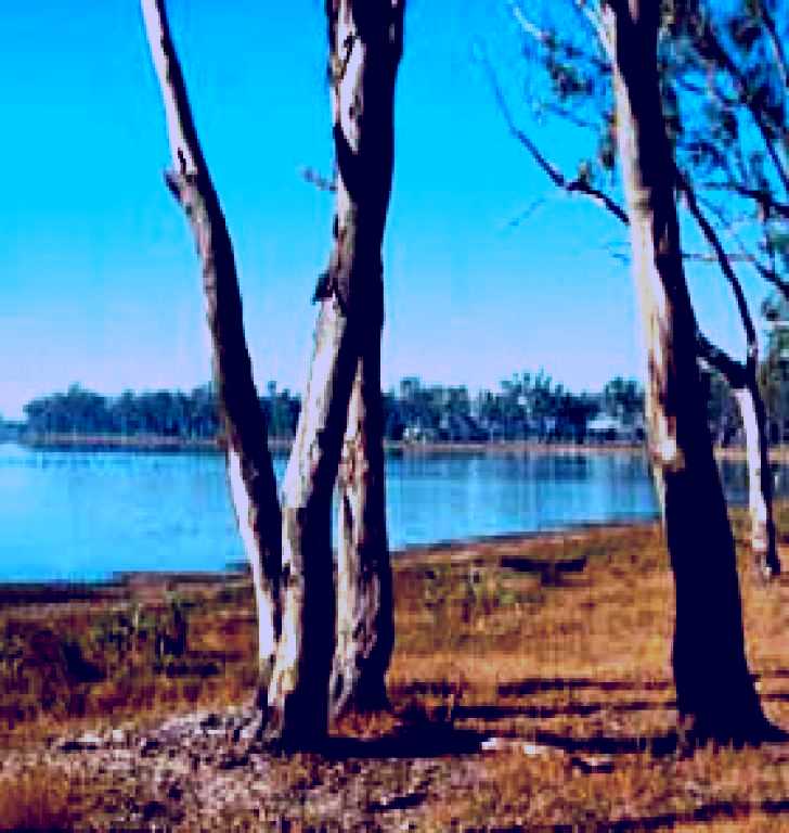 SubjectCoach | Lake Broadwater Conservation Park