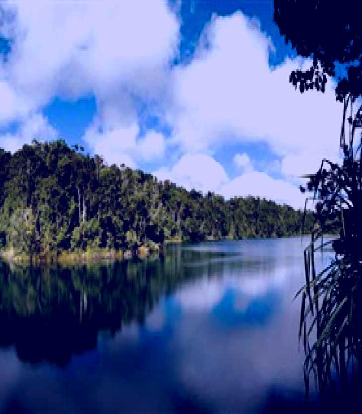 SubjectCoach | Lake Eacham, Crater Lakes National Park