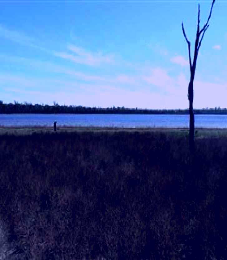 SubjectCoach | Lake Murphy Conservation Park