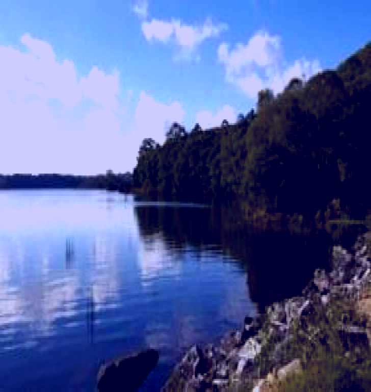 SubjectCoach | Lake Paluma