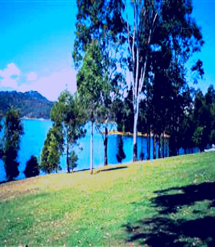 SubjectCoach | Lake Wivenhoe
