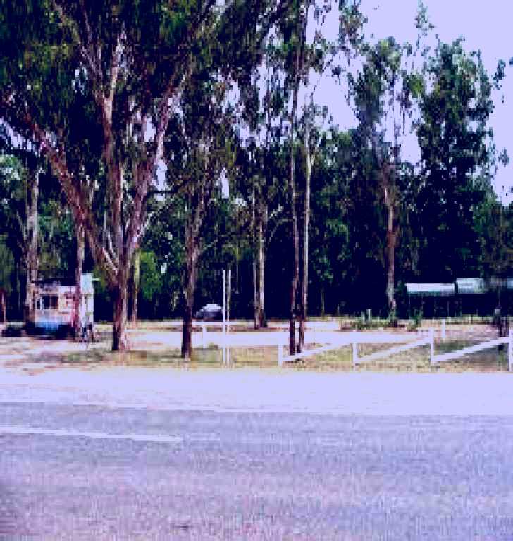 SubjectCoach | Lions Park
