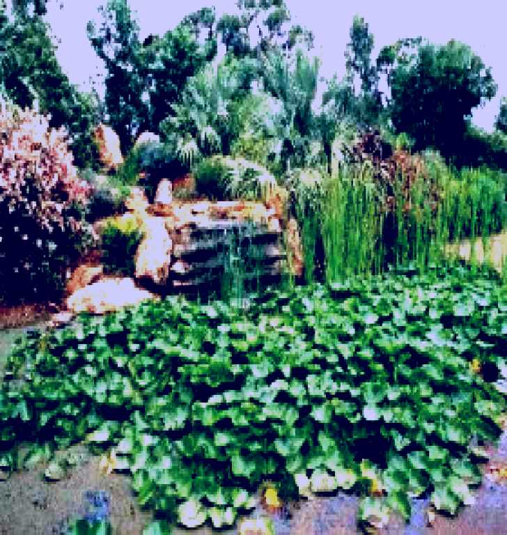 SubjectCoach | Mackenzie Park