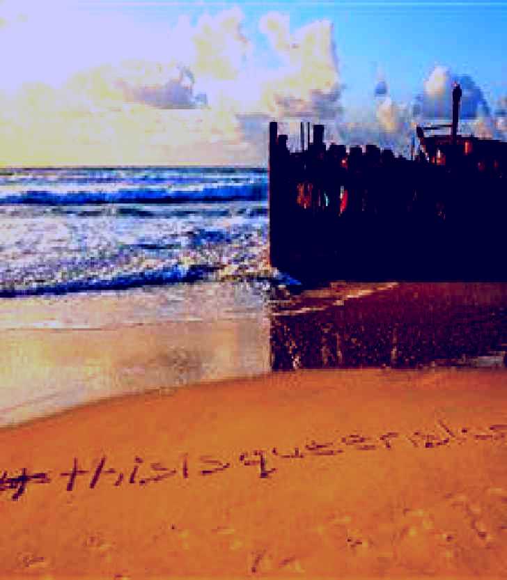 SubjectCoach | Maheno Shipwreck