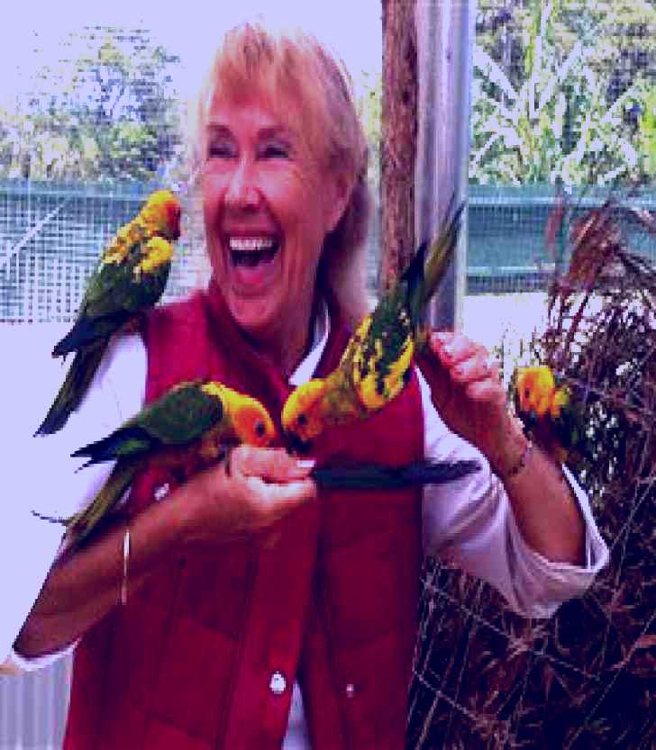 SubjectCoach | Maleny Botanic Gardens and Bird World