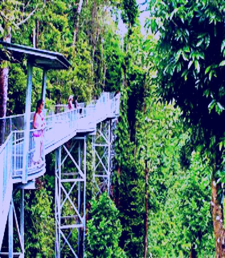 SubjectCoach | Mamu Tropical Skywalk