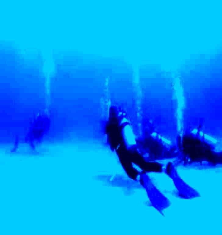 SubjectCoach | Man and Wife Rocks Dive Site