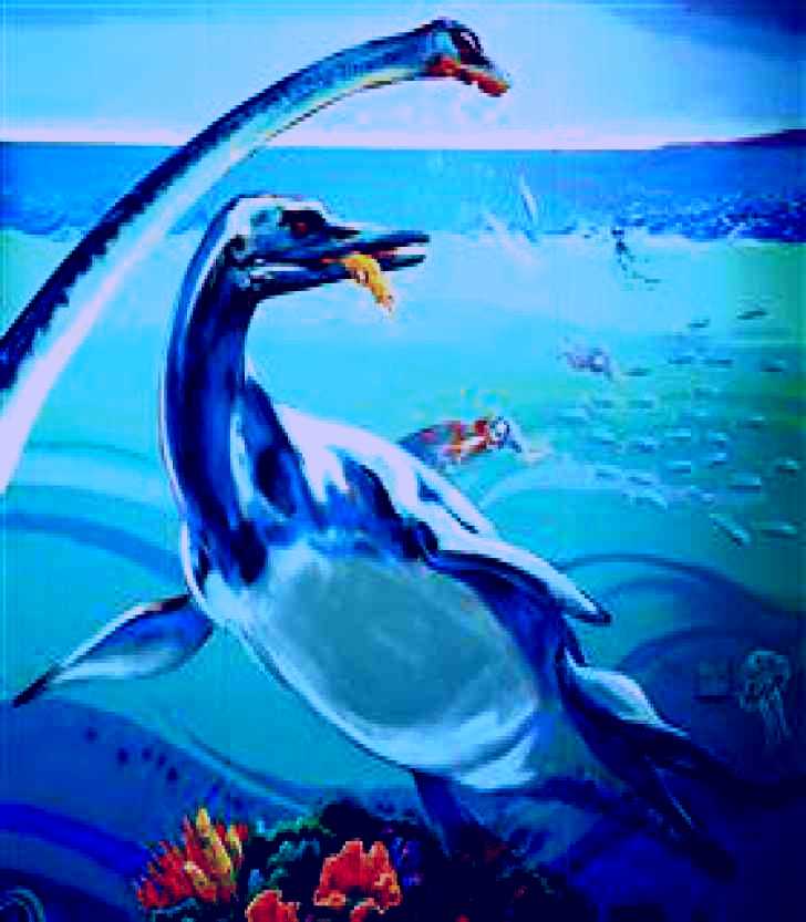 SubjectCoach | Marine Reptile Fossil Display