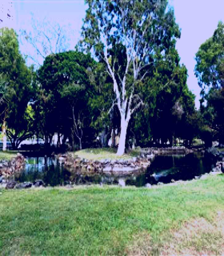 SubjectCoach | McIntosh Island Park
