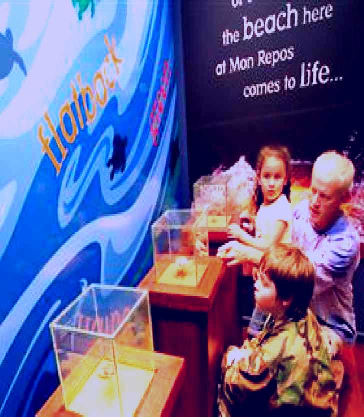 SubjectCoach | Mon Repos Turtle Centre