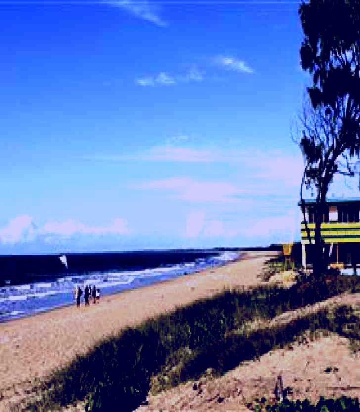 SubjectCoach | Moore Park Beach