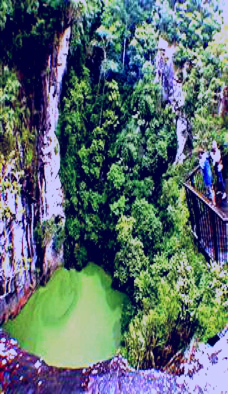 SubjectCoach | Mt Hypipamee Crater and Dinner Falls