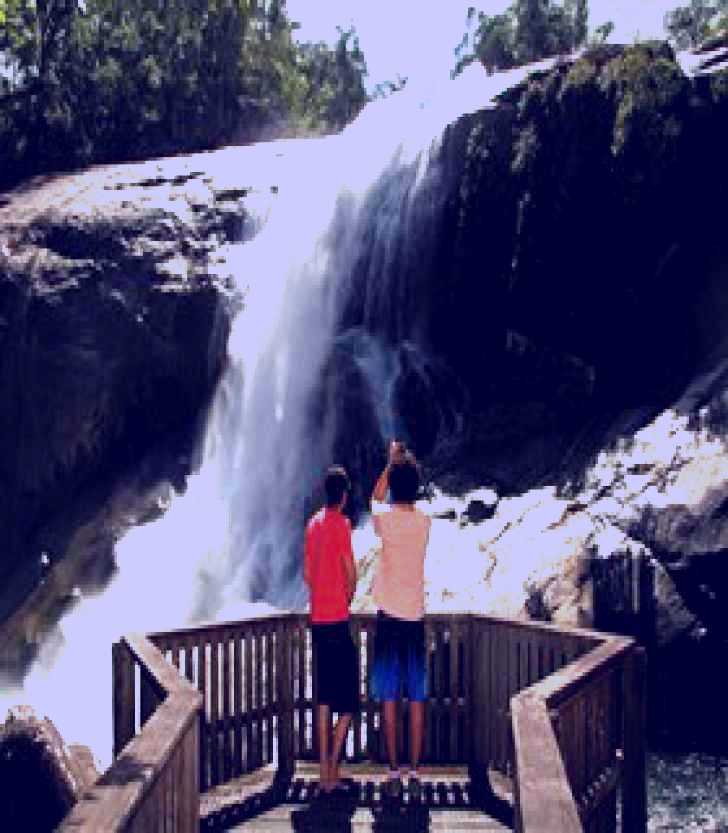 SubjectCoach | Murray Falls, Girramay National Park