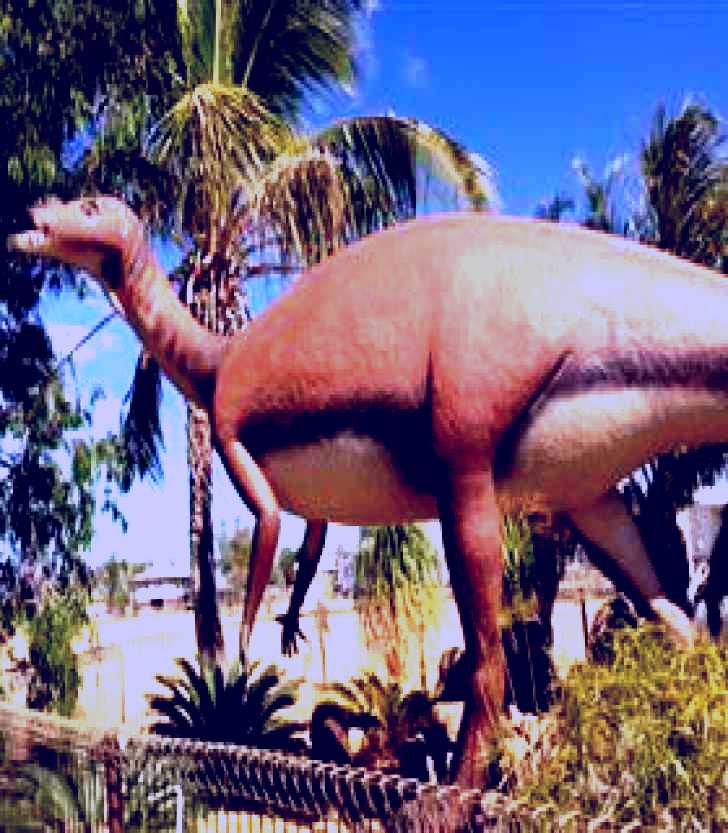 SubjectCoach | Muttaburra - Muttaburrasaurus Langdoni Replica