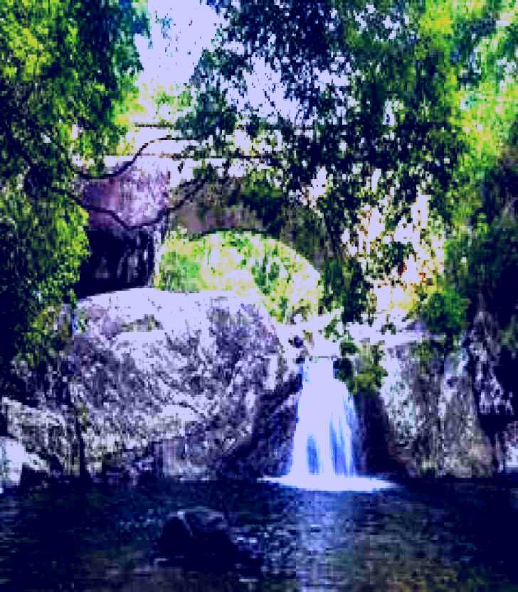 SubjectCoach | Paluma and Crystal Creek Rainforest