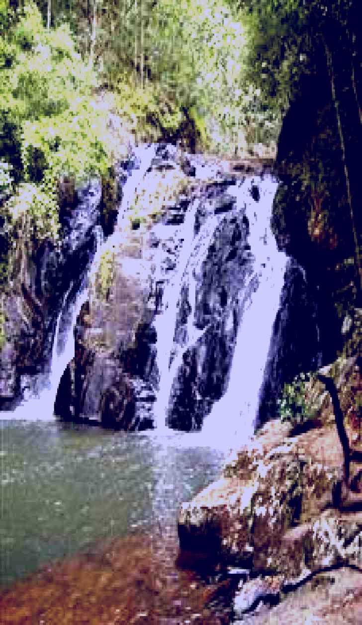 SubjectCoach | Pepina Falls