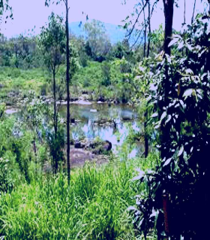 SubjectCoach | Pioneer River, Marian, Queensland