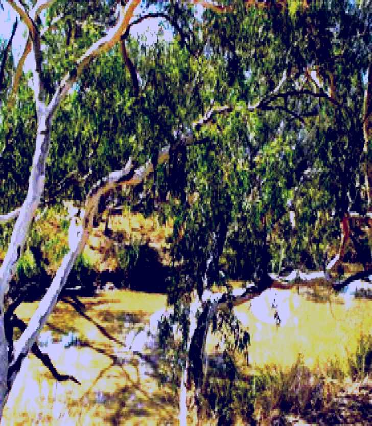 SubjectCoach | Quilberry Creek Fishing
