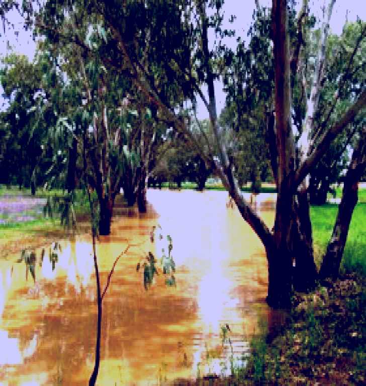 SubjectCoach | Saddliers Waterhole and Hamburg Creek