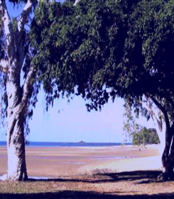 SubjectCoach | Shoal Point