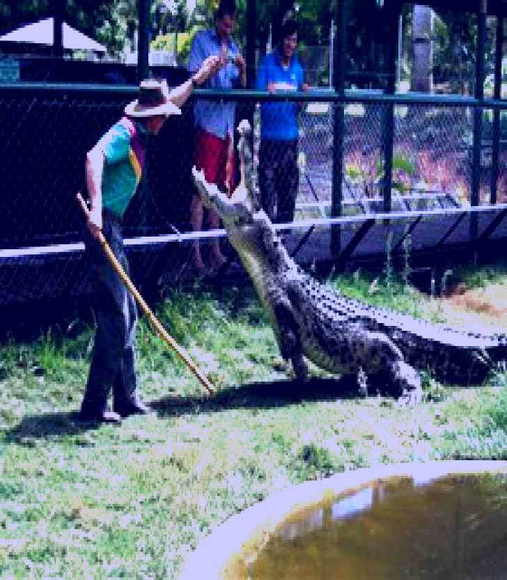 SubjectCoach | Snakes Downunder Reptile Park and Zoo