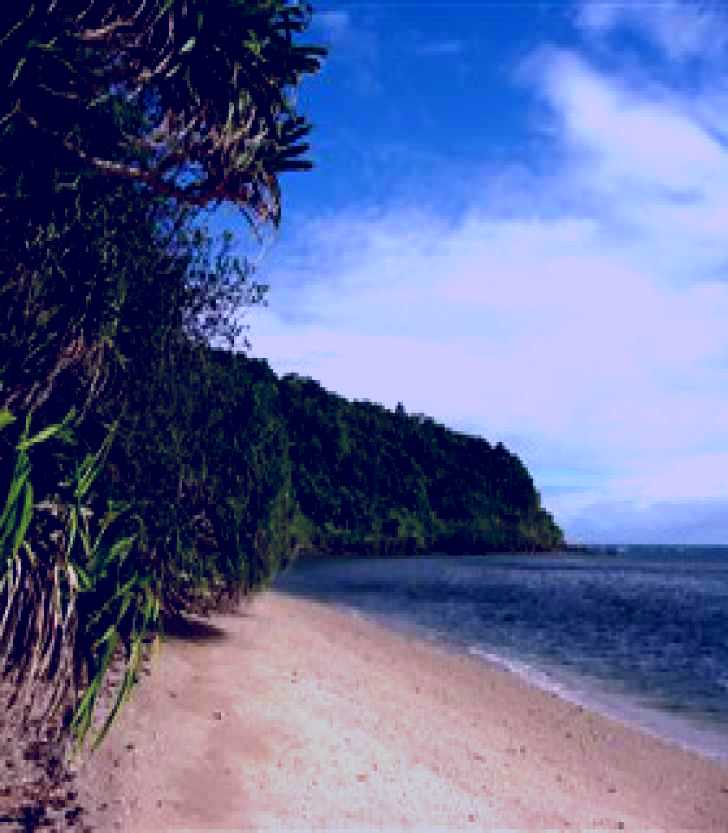 SubjectCoach | Snapper Island, Hope Islands National Park