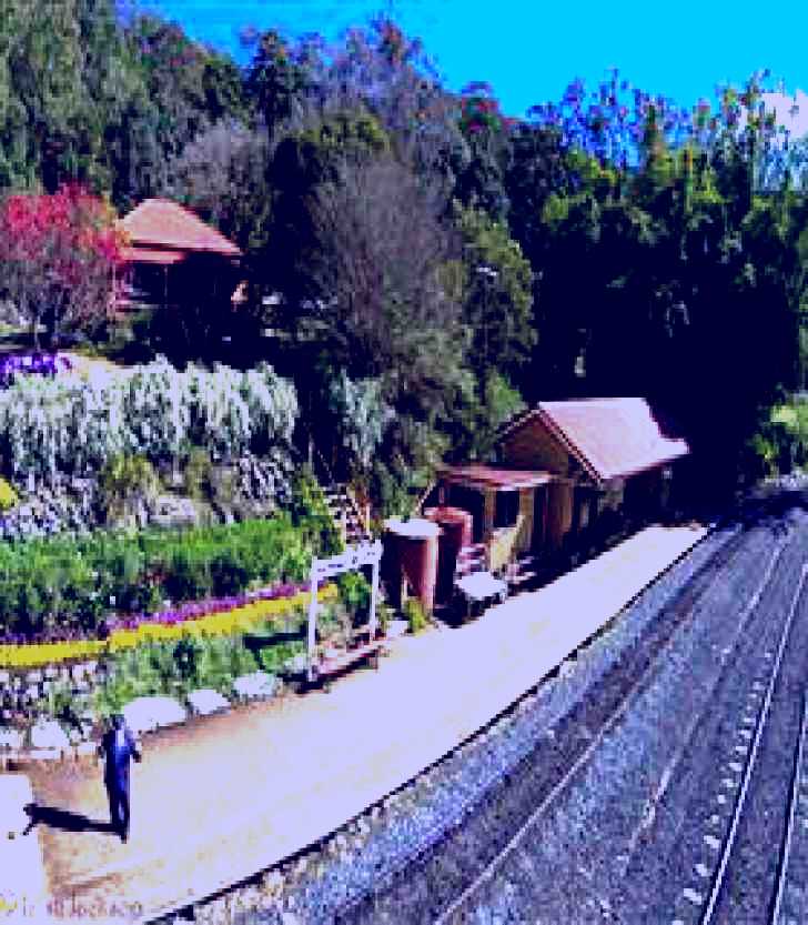SubjectCoach | Spring Bluff Railway Station