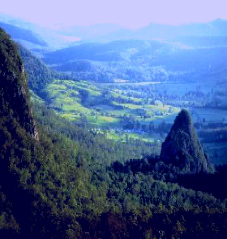 SubjectCoach | Springbrook Plateau, Springbrook National Park