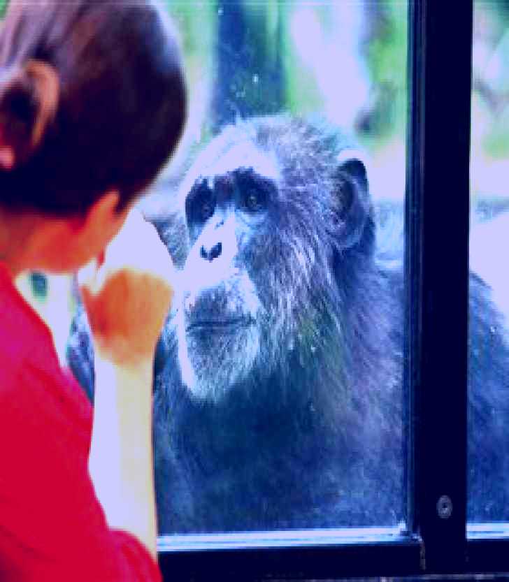SubjectCoach | The Rockhampton Zoo