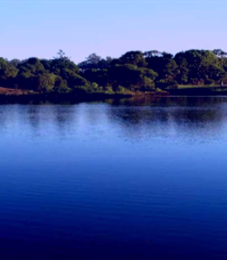 SubjectCoach | Toowoomba Water Bird Habitat