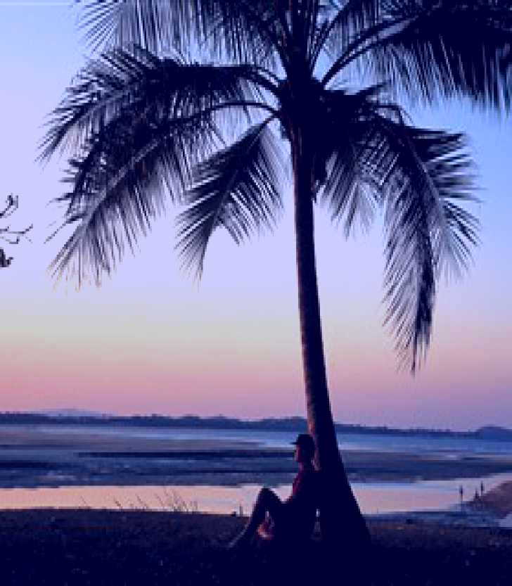 SubjectCoach | Town Beach