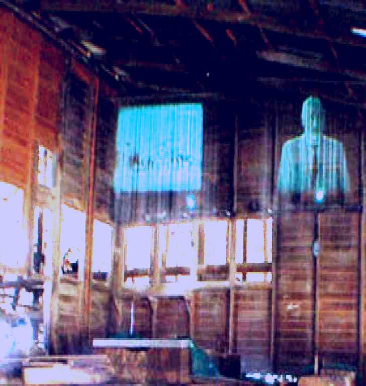 SubjectCoach | Venus Gold Battery