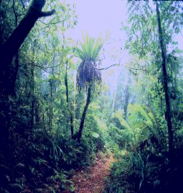 SubjectCoach | Wagawn