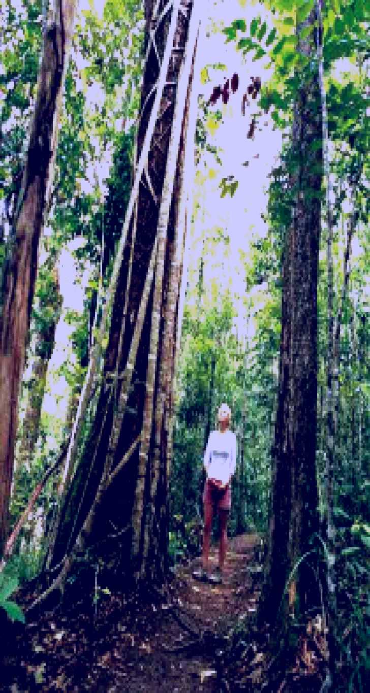 SubjectCoach | Wet Tropics