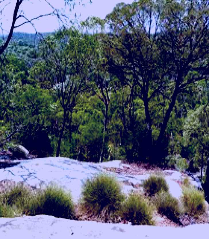 SubjectCoach | White Mountains National Park