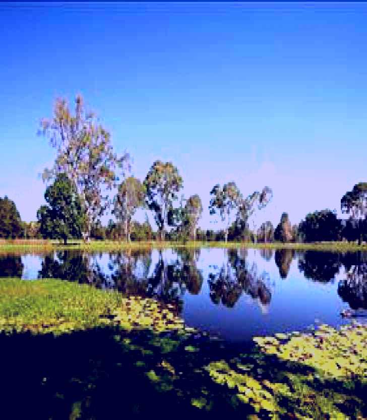 SubjectCoach | Yowie Park