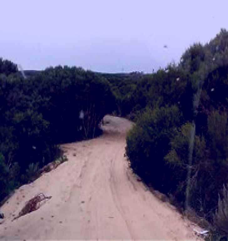 SubjectCoach | 42 Mile Crossing Image 1