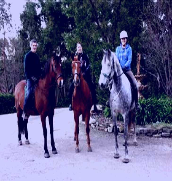 SubjectCoach | Academy of Dressage