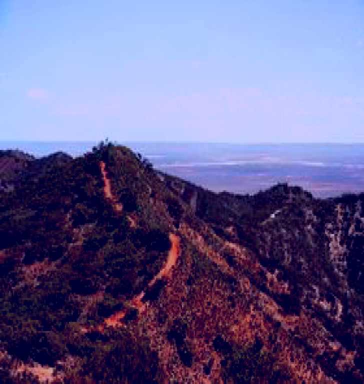 SubjectCoach | Arden Hills Props