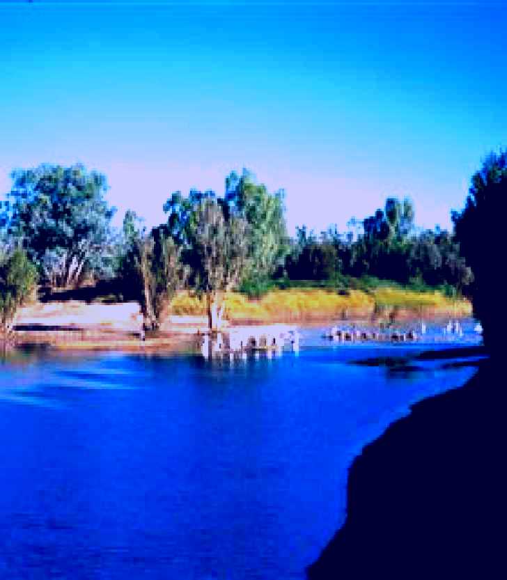 SubjectCoach | Cooper Creek (Nappamerrie Station)