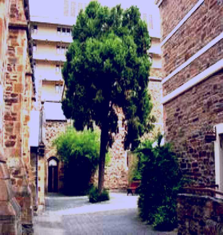 SubjectCoach | Flinders Street Baptist Church